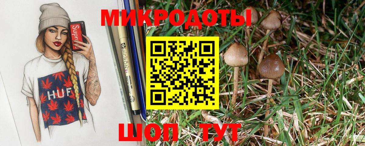Александров  Галлюциногенные грибы Magic Shrooms  Вход с VPN 